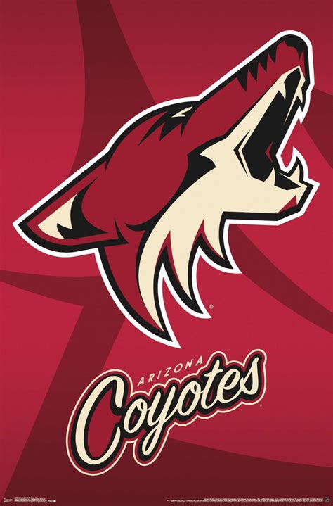 arizona coyotes hockey team